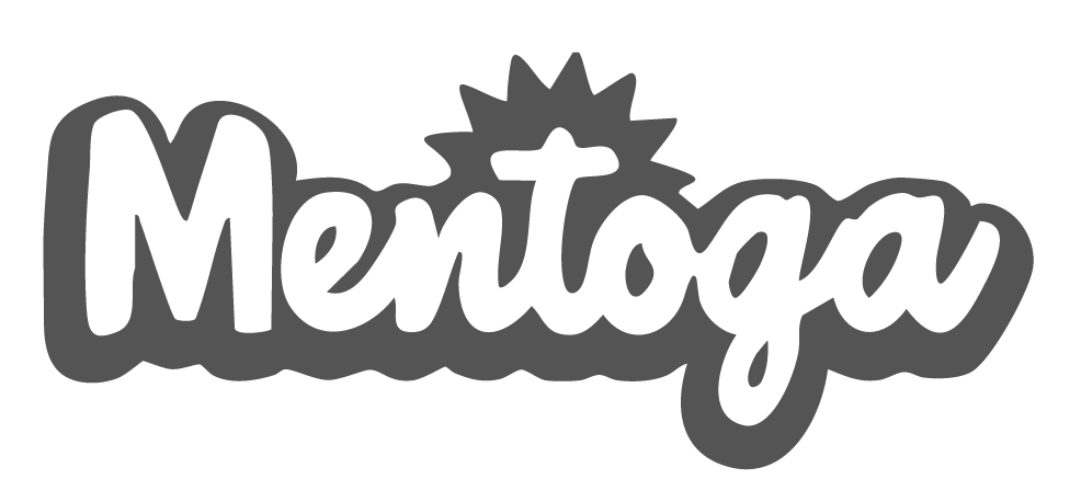 Zeeshan Usmani’s mentorship and guidance role with Mentoga supporting learning and growth