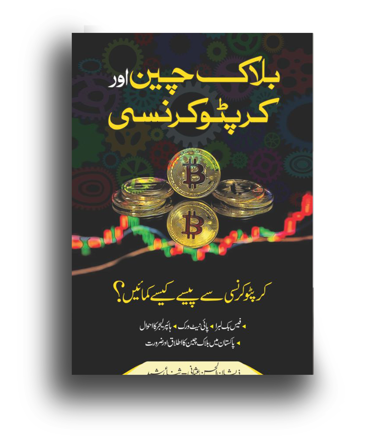 Blockchain aur Cryptocurrency by Zeeshan Usmani, an Urdu guide to digital currencies and decentralized systems